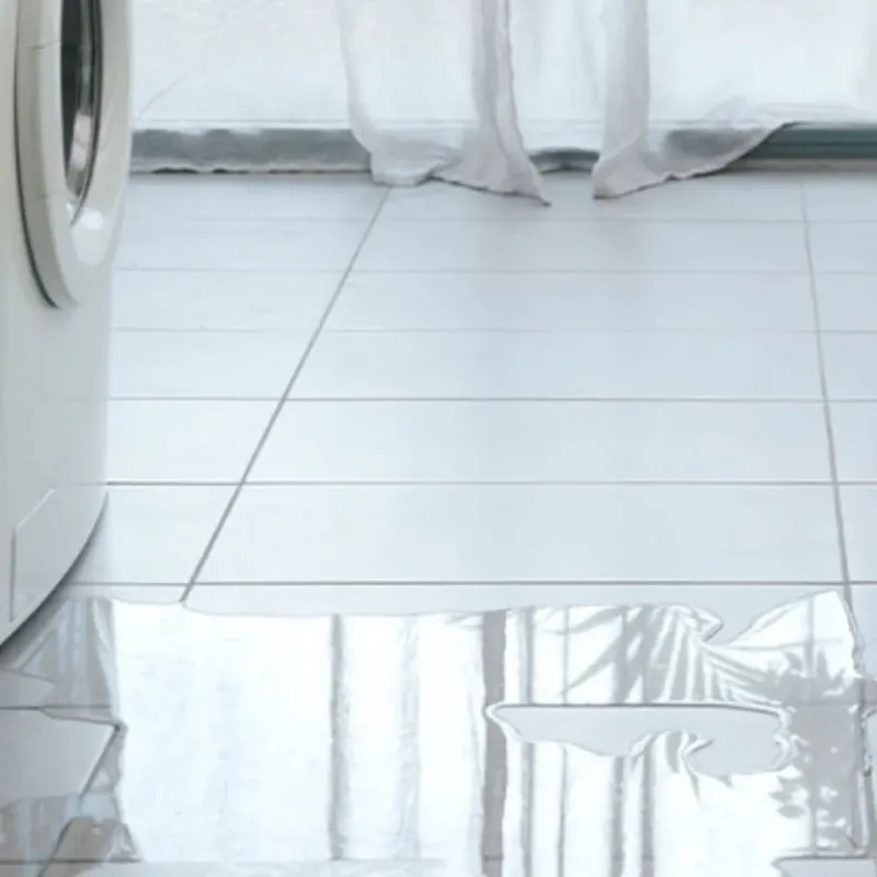 Appliance Leak Cleanup in Kingsburg, CA